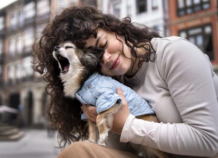 Estudio revela que interactuar con perros reduce el estrés