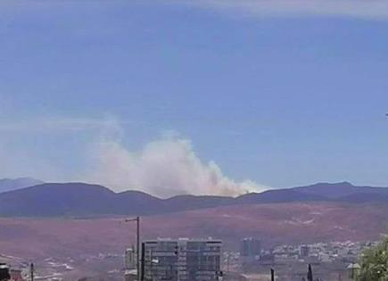 Combaten incendios forestales en Sierra de San Miguelito y Ciudad del Maíz