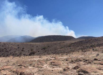 Incendio ha consumido 17 hectáreas en Sierra de San Miguelito