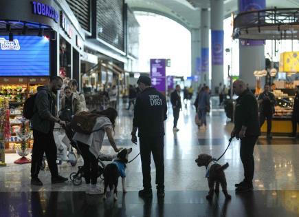 Proyecto Piloto de Perros de Terapia en Aeropuerto