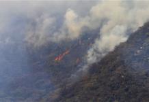 Videos | Incendio ha consumido 17 hectáreas en Sierra de San Miguelito