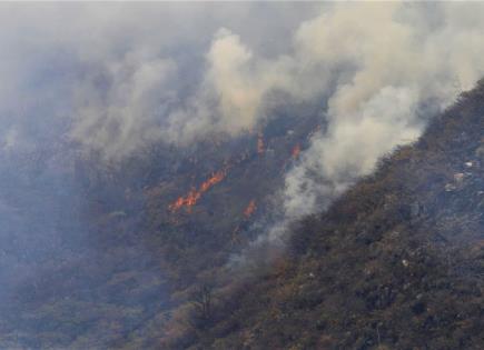 Videos | Incendio ha consumido 17 hectáreas en Sierra de San Miguelito
