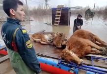 Inundaciones en Rusia: Impacto y consecuencias