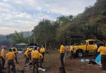 Hacen frente a incendios 250 brigadistas; piden voluntarios y víveres