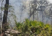 Fotos | Sigue combate de incendio en Sierra de San Miguelito