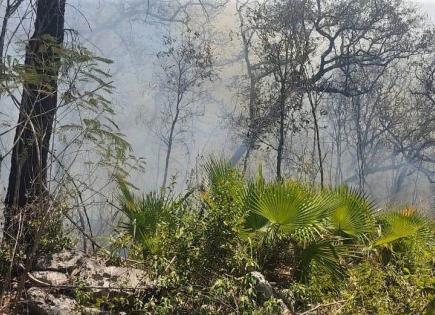 Propuesta de Marcela Guerra para prevenir incendios forestales