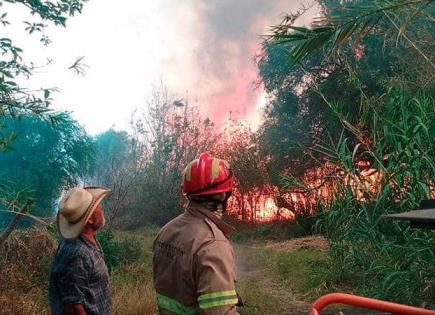 Labores de Brigadistas y Helicópteros en Incendios Forestales