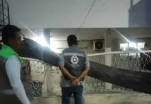 Soledad, afectado por fuertes vientos; caen &aacute;rboles y postes