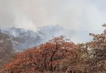 Se complica la situación  de incendios en San Luis