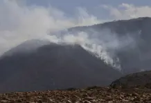 Afectadas por incendios, más de mil 100 hectáreas: CEPC