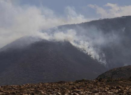 Afectadas por incendios, más de mil 100 hectáreas: CEPC