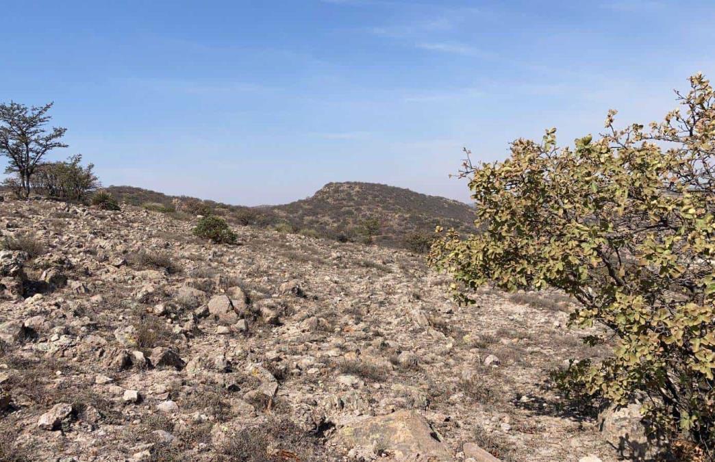 Foto y video: Alberto Mart&iacute;nez-Pulso