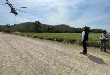 Aún vivos 6 incendios forestales en la Huasteca