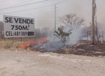 Multas por Desperdicio de Agua y Quema de Basura en Ciudad Valles