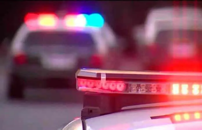 Descubren 16 centros de almacenamiento de sustancias químicas en Sinaloa