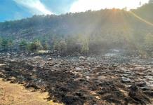 Incendio Forestal Arrasa con 275 Hectáreas en Morelos