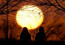 Alerta científica: El calentamiento global causa estragos Alerta científica: El calentamiento global causa estragos