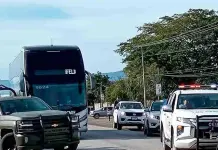 Disparan a buscadoras en Tamu&iacute;n
