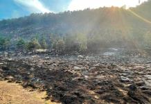 Incendio Forestal en Zempoala: Desastre Ambiental en Morelos