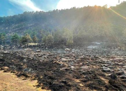 Incendio Forestal en Zempoala: Desastre Ambiental en Morelos