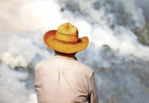 30 mil hectáreas arrasadas por incendios en Oaxaca