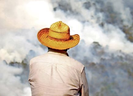 30 mil hectáreas arrasadas por incendios en Oaxaca