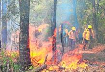 Incendios Forestales en Morelos: Actualización y Acciones