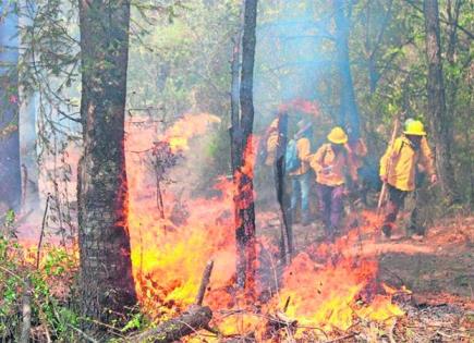 Incendios Forestales en Morelos: Actualización y Acciones