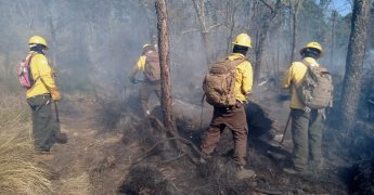 Actualización sobre Incendio Forestal en Parque Nacional