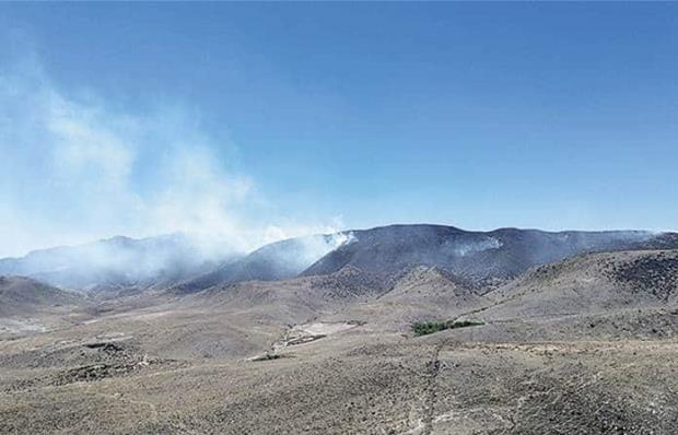 Incendios forestales afectaron 3,850 ha