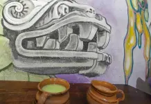 Historia y tradici&oacute;n del pulque en Apan, Hidalgo