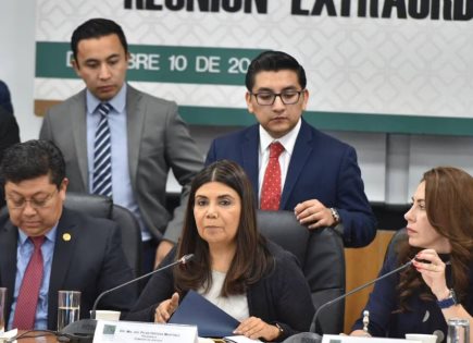 Análisis detallado de la Ley de Amnistía en México