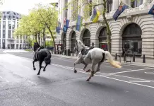 Caballos Militares Escapan y Causan Caos en el Centro de Londres