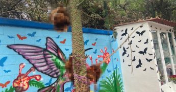 Sacrificios de animales en San Diego Ocoyoacac alertan a la comunidad