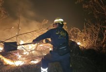 Impacto de los Incendios Forestales en Chilpancingo y Acapulco