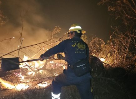 Impacto de los Incendios Forestales en Chilpancingo y Acapulco