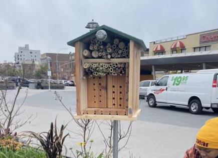 Conservación de abejas en entornos urbanos de Nueva York