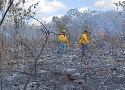 Plan de Emergencia por Incendios Forestales en el Sur del Estado