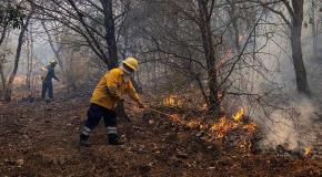 Fuego afecta 14 mil ha en Guerrero