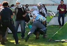 Manifestante propalestino abordado por policía en protesta