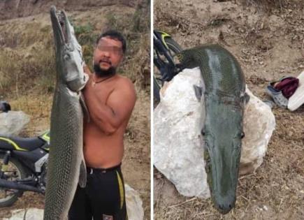 Pescador captura un ejemplar de catán en Tamuín