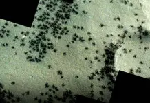 Descubrimiento de formaciones en Marte por la ESA Descubrimiento de formaciones en Marte por la ESA