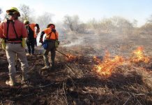 Control y liquidación de incendio forestal en Quiriego