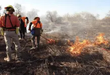 Control y liquidaci&oacute;n de incendio forestal en Quiriego