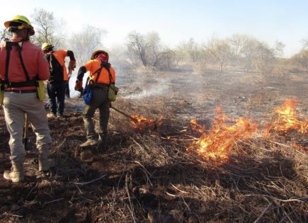 Control y liquidación de incendio forestal en Quiriego