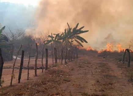 Muerte de brigadista en incendio forestal de Sinaloa