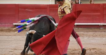 Corrida de toros con Ernesto Javier Calita en Aguascalientes
