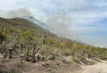 Sin controlar al 100%, incendio en cerro de la Peña de Matehuala