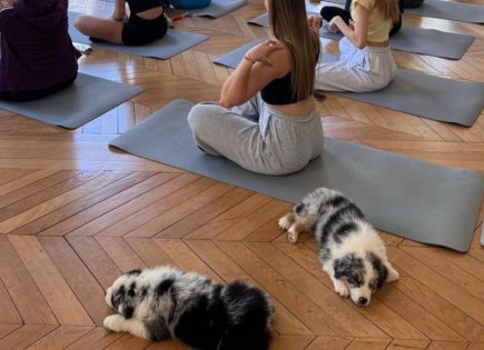 Prohibición del Yoga con Cachorros en Italia