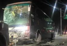 Chofer de autob&uacute;s choca contra tr&aacute;iler en carretera a Zacatecas